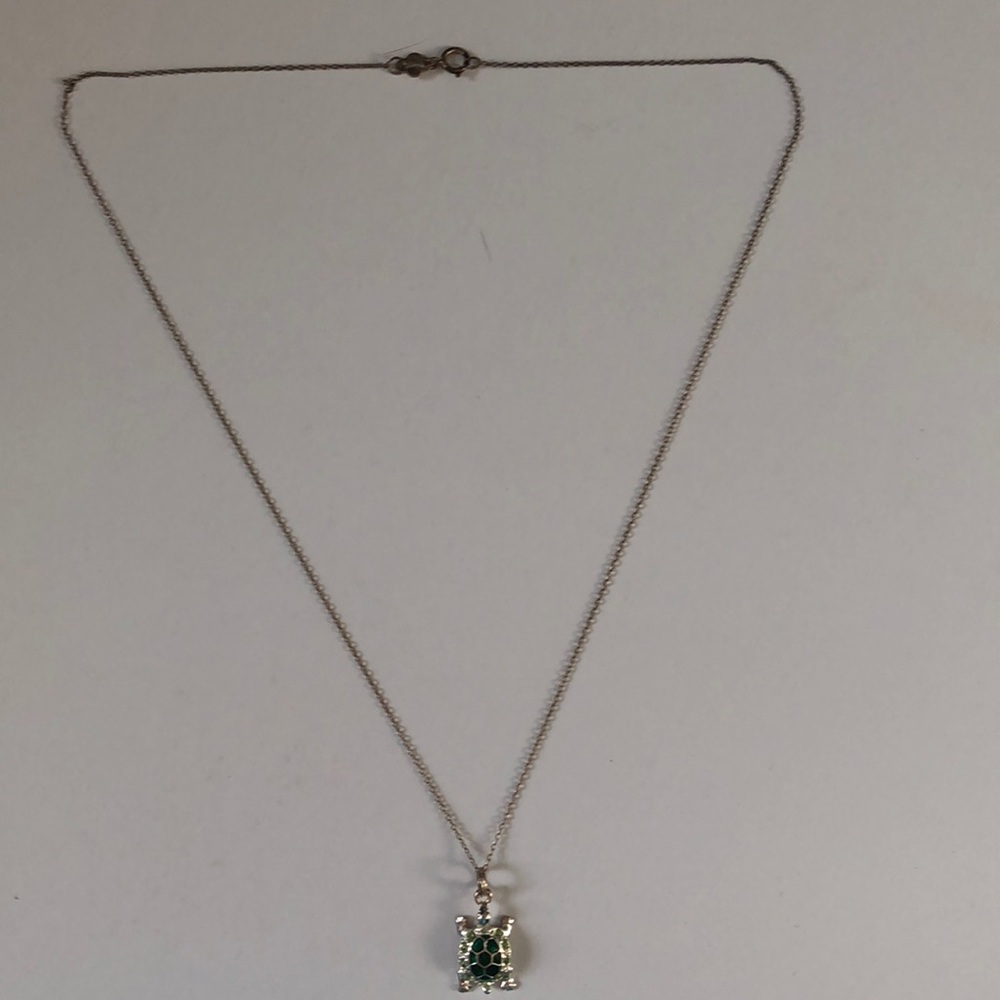 Turtle Necklace